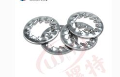 內（nèi）鋸齒鎖（suǒ）緊墊圈